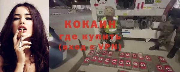 трава Дмитриев