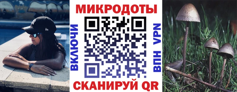 Галлюциногенные грибы мухоморы Искитим